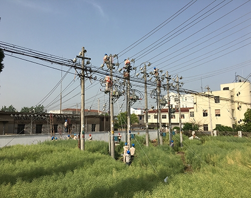 楼王变农配网停电