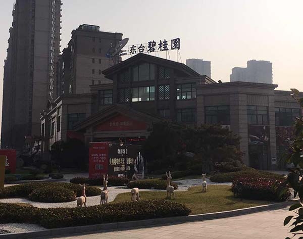 东台碧桂园居配工程