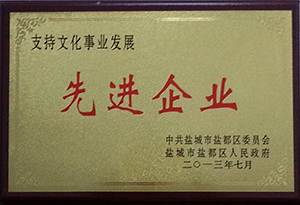 先进企业-区政府201307(1).jpg